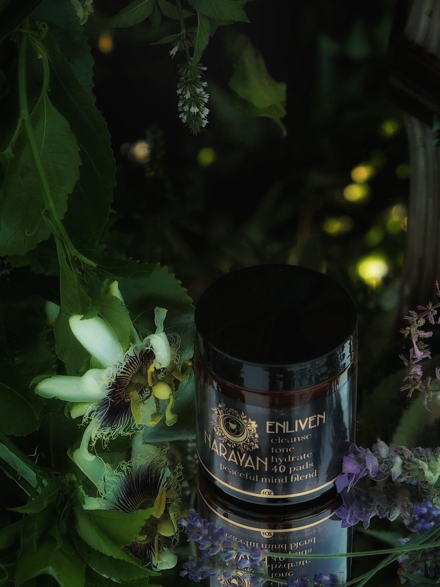 Peaceful Mind ~ Enliven