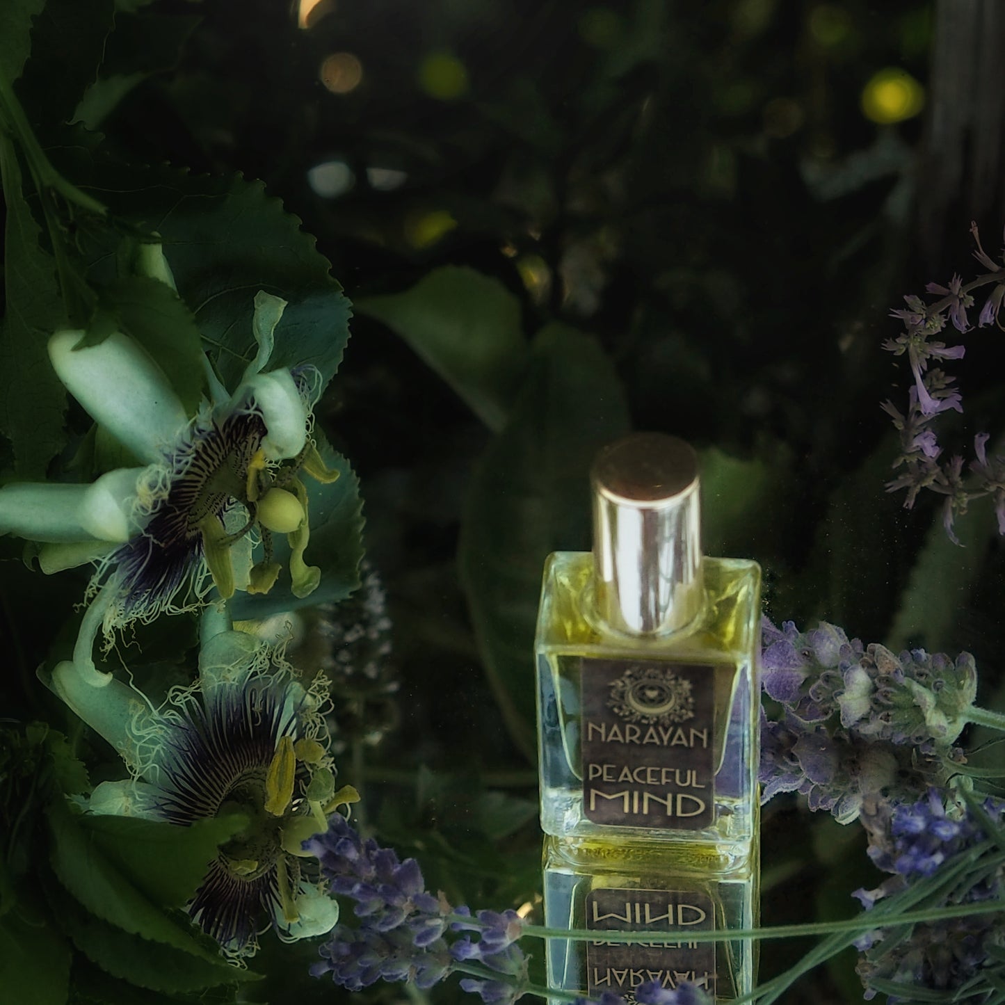 Peaceful Mind ~ Aroma Gold ~ Therapeutic Parfume