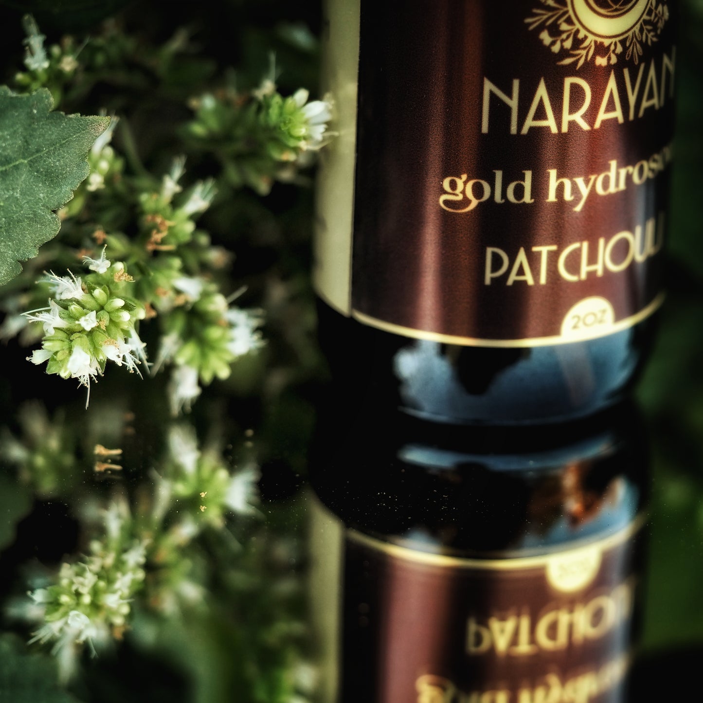 Patchouli ~ Gold Hydrosoul