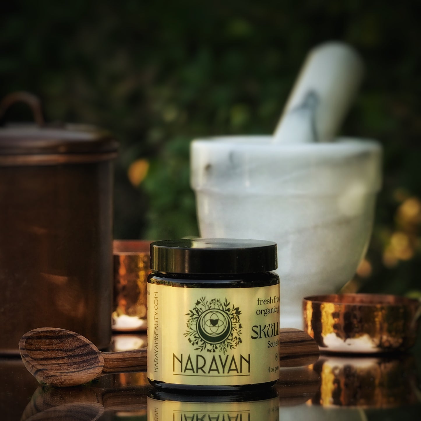 Skullcap ~ Dried & Powdered