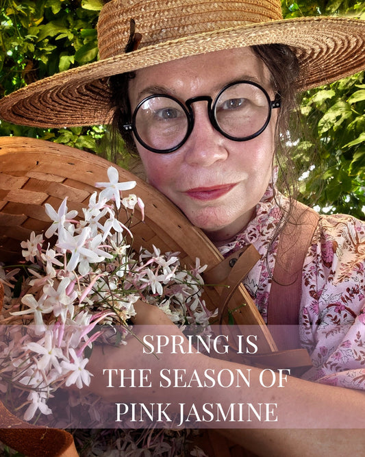 Blowing Through The Jasmine in My Mind