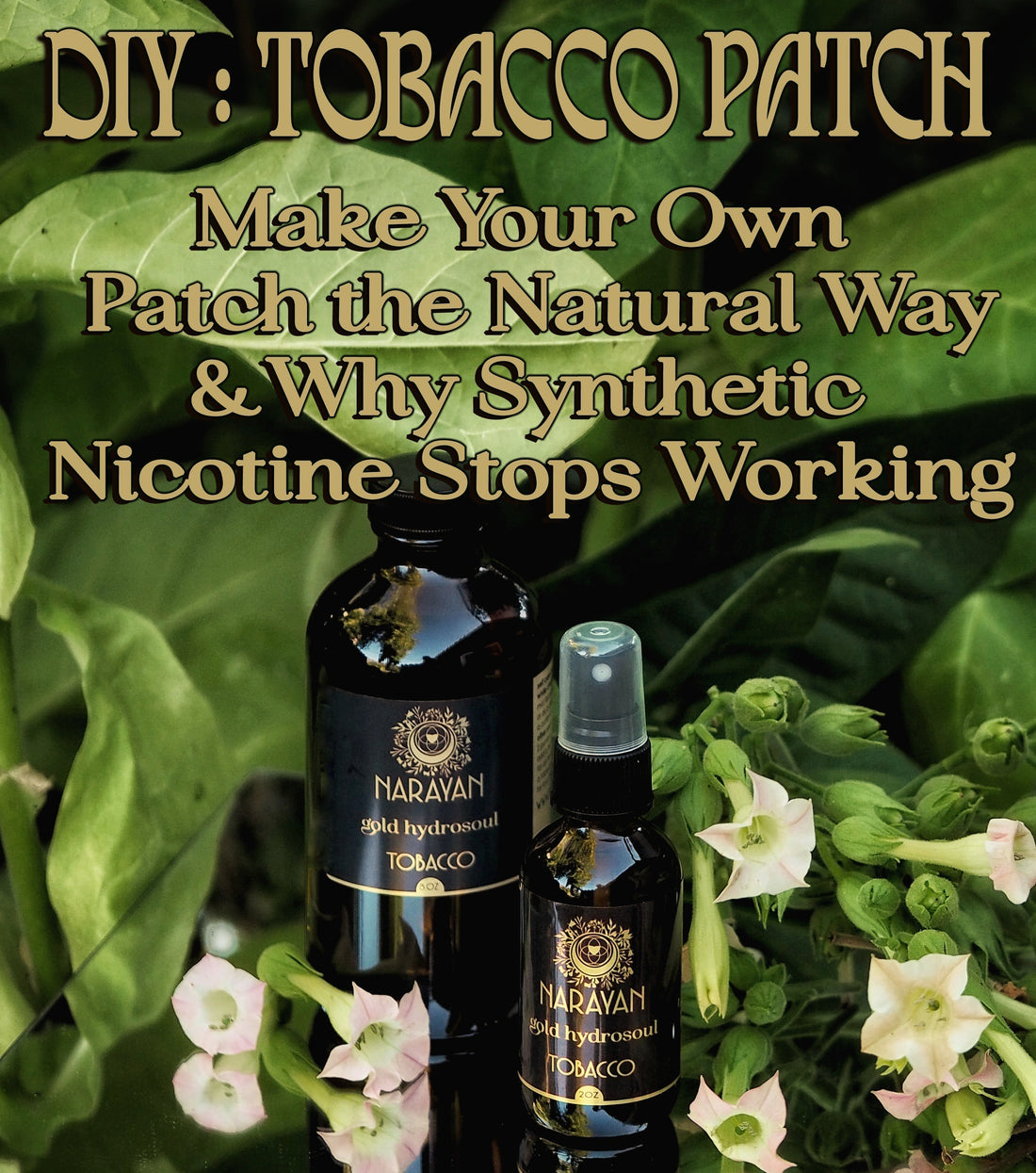 DIY Tobacco Patch & Why the Synthetic Stops Working