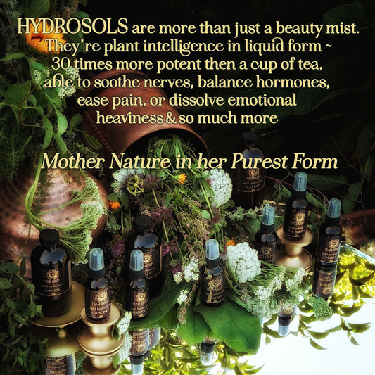 PATCH ME PLEASE : A New Way to Take Plant Medicine HYDROSOULS make good medicine