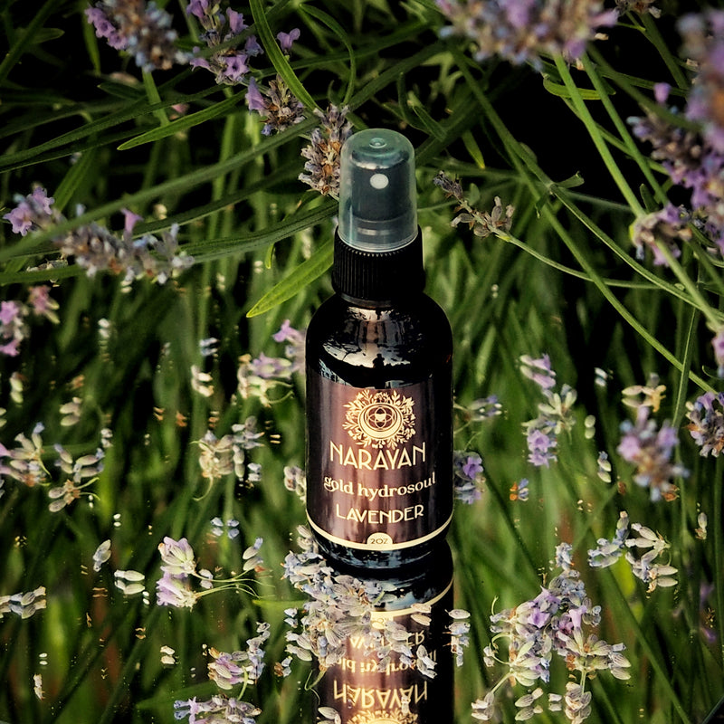 Lavender  Gold Hydrosoul