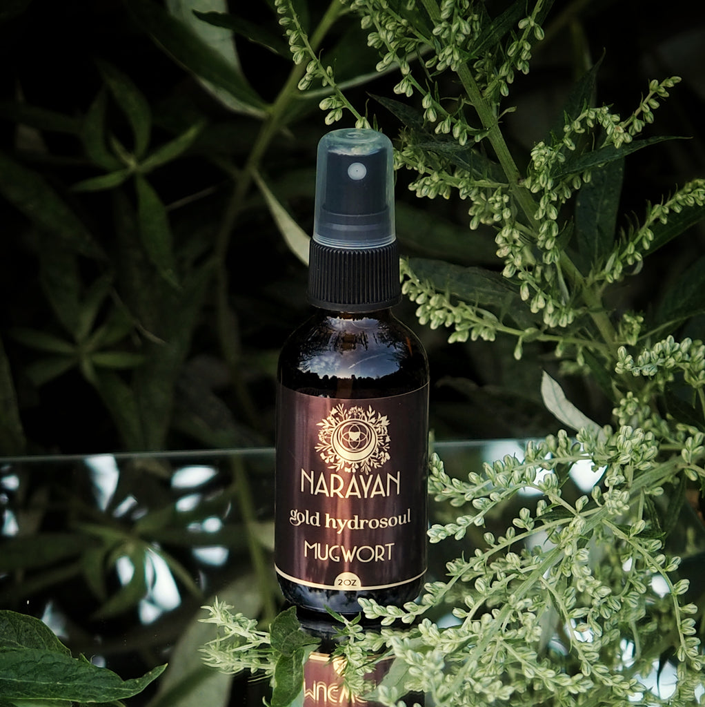 Mugwort~Gold Hydrosoul