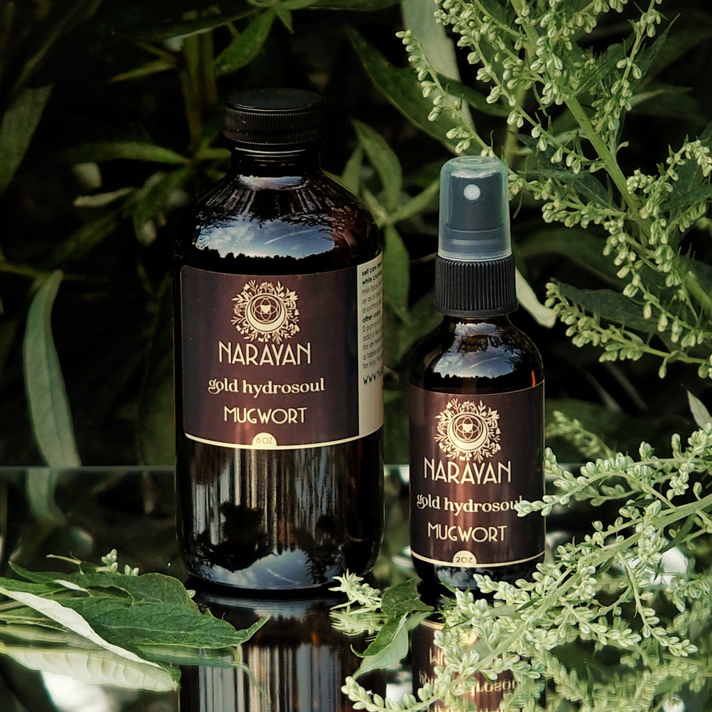 Mugwort~Gold Hydrosoul