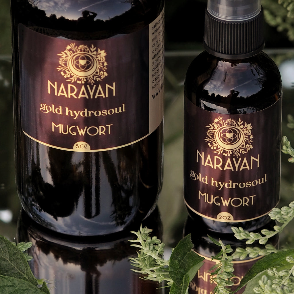Mugwort~Gold Hydrosoul