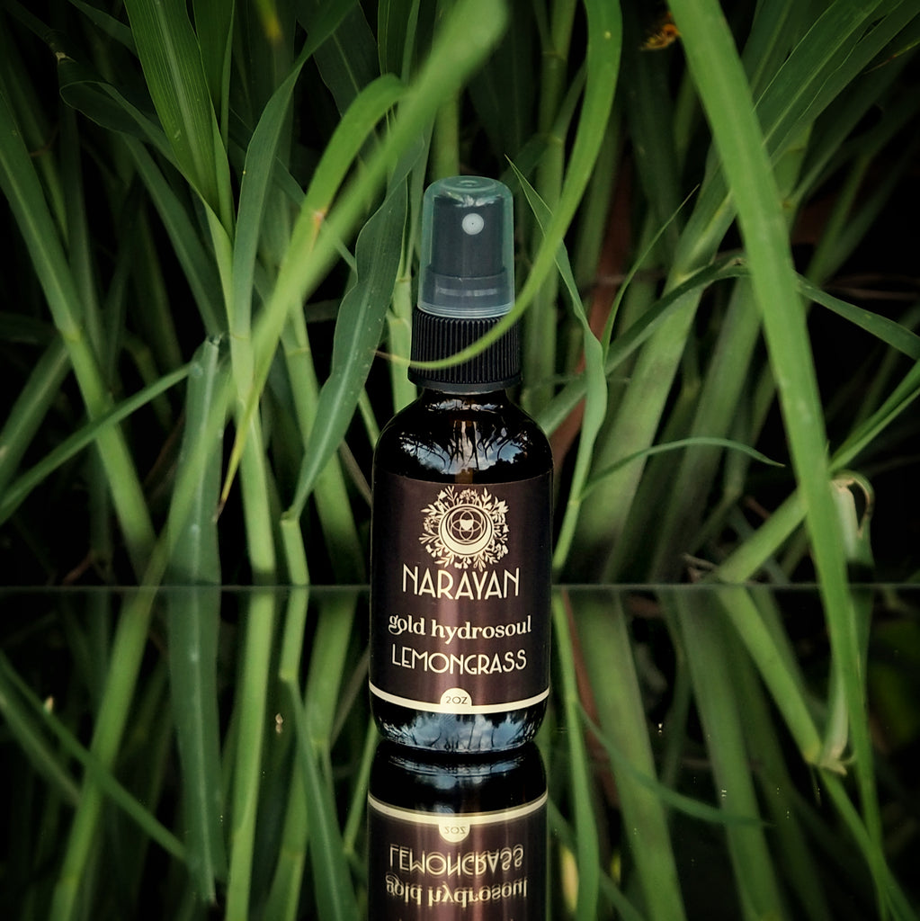 Lemongrass~Gold Hydrosoul