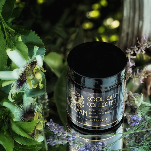 Cool, Calm & Collected ~ Mud Masque