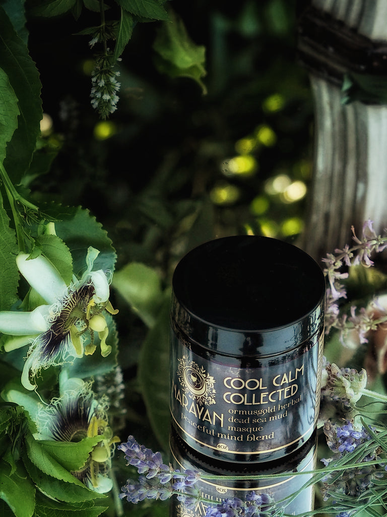 Cool Calm Collected~orme botanical mud masque