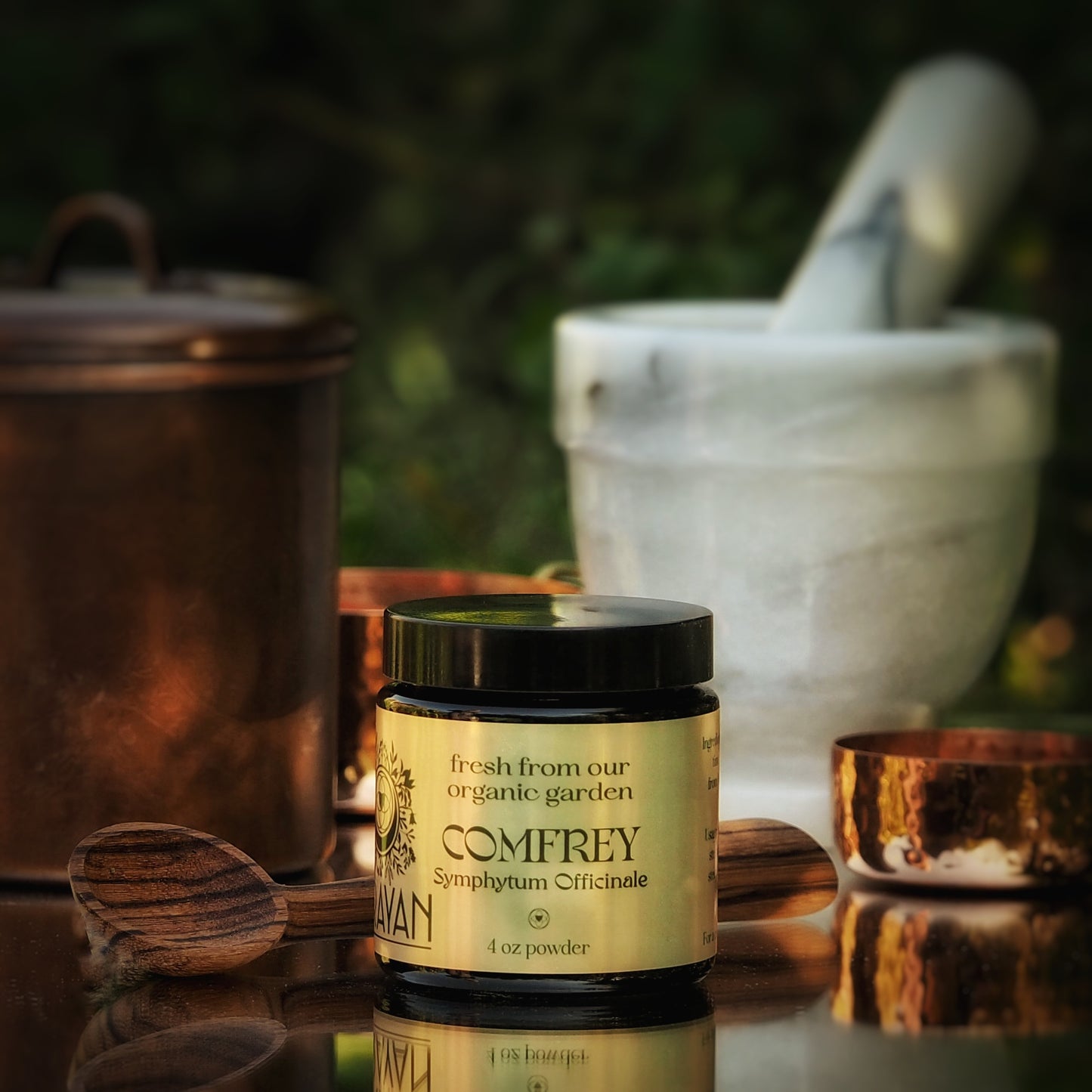 Comfrey ~ Dried & Powdered