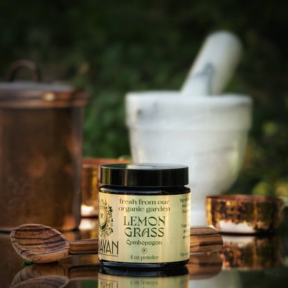 Lemongrass Dried & Powdered