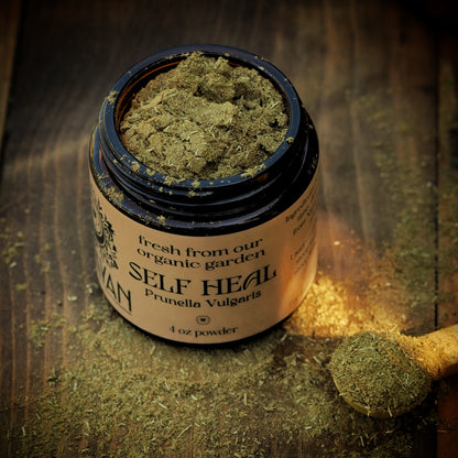 Self Heal ~ Dried & Powdered