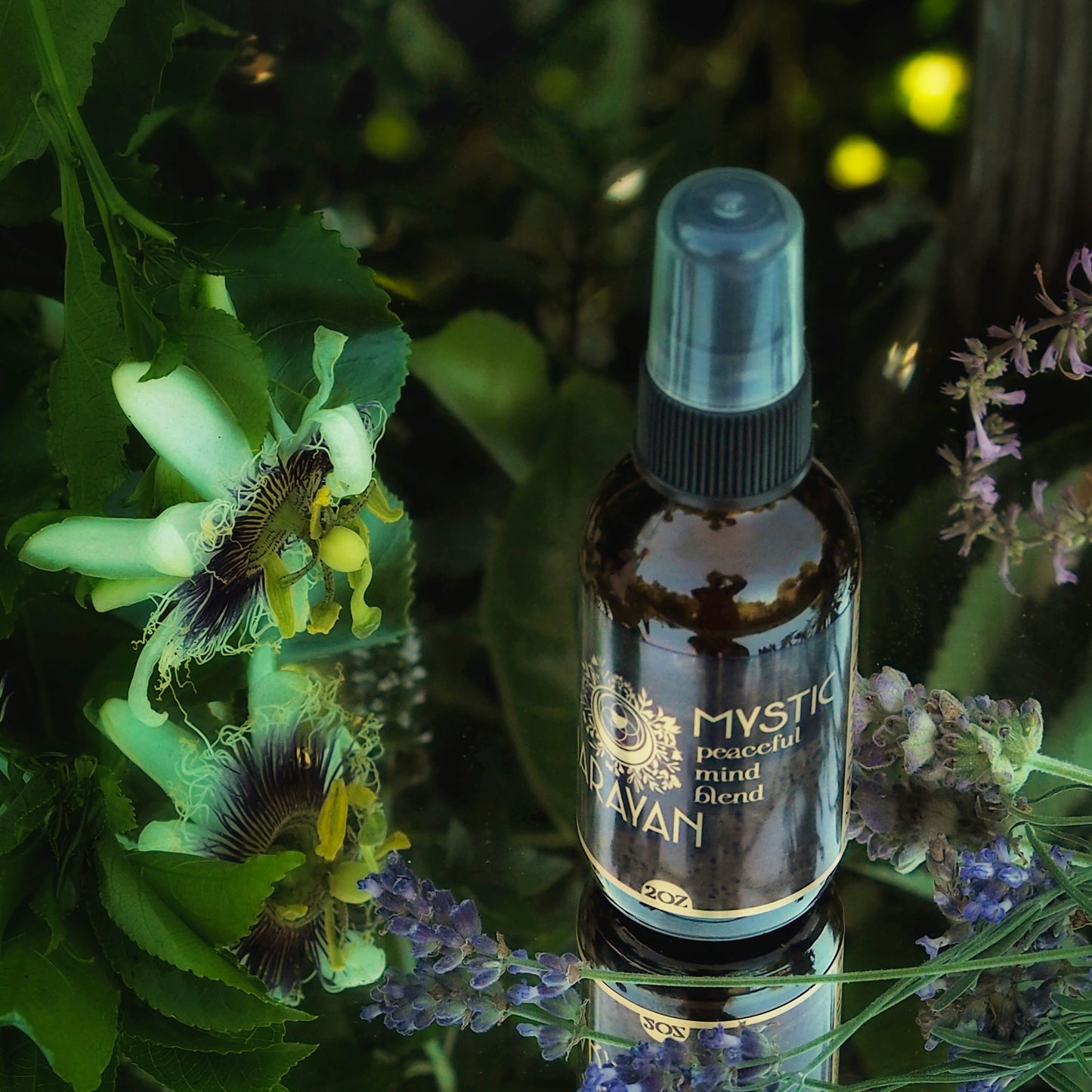 Peaceful Mind ~ Mystic