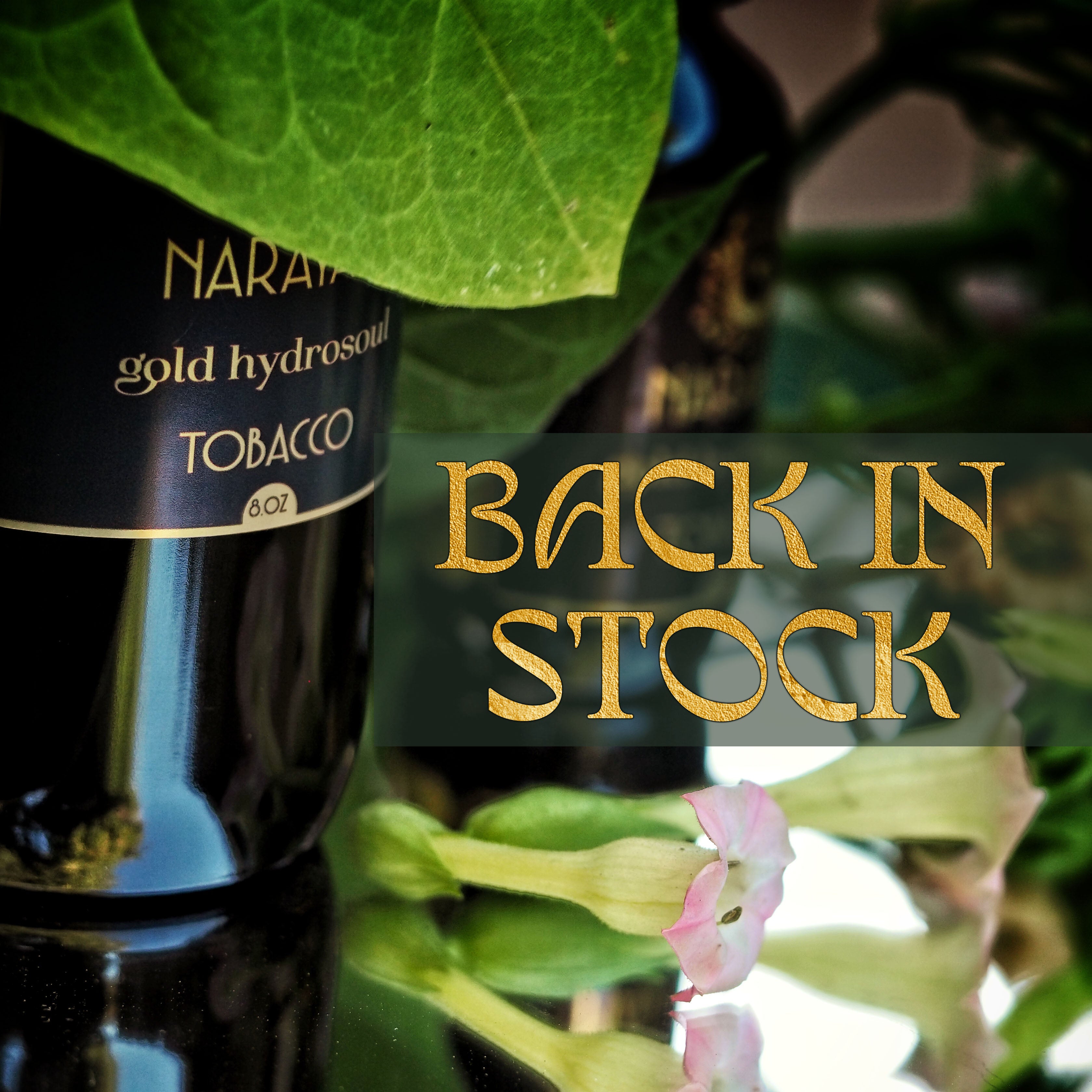 Tobacco Gold Hydrosoul — back in stock