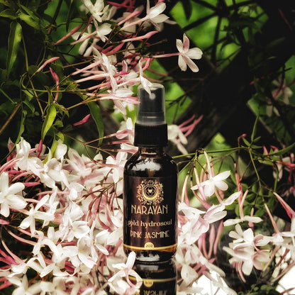 Pink Jasmine~Gold Hydrosoul