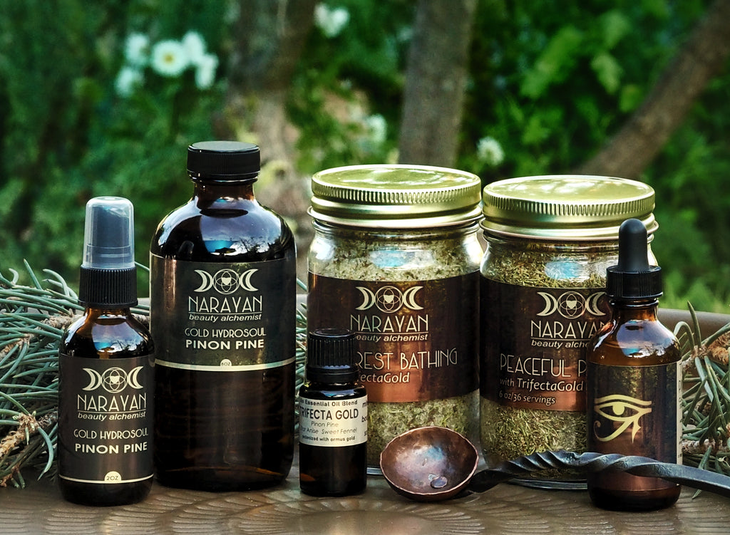 The Pinon Pine Protocol