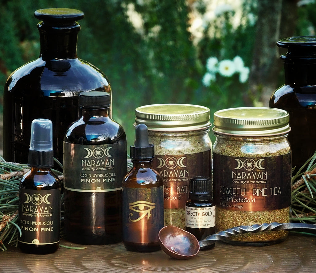The Pinon Pine Protocol
